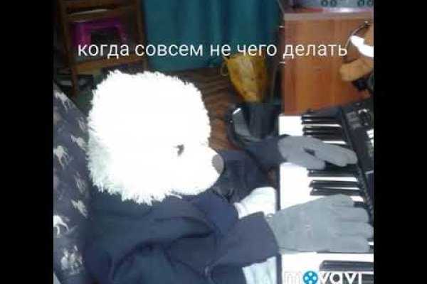 Кракен дарк шоп