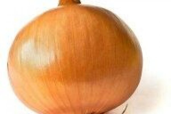 Kraken istand onion